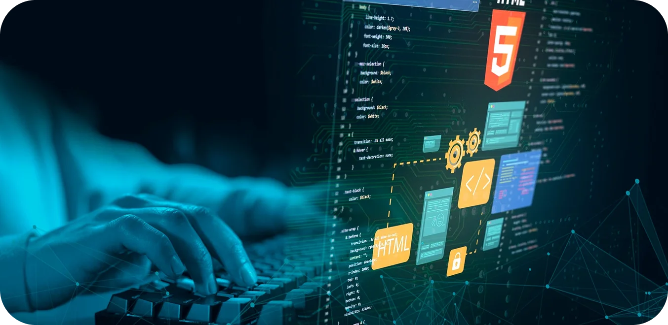 Custom web app development